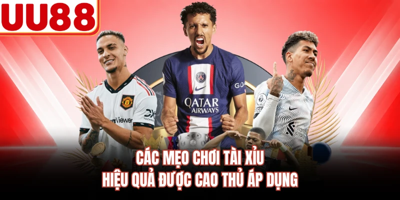 Các mẹo chơi tài xỉu hiệu quả được cao thủ áp dụng 