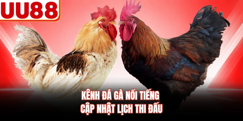 Kênh đá gà nổi tiếng cập nhật lịch thi đấu