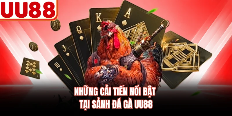 Những cải tiến nổi bật tại sảnh đá gà UU88 