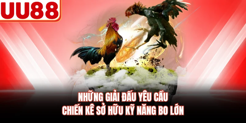 Những giải đấu yêu cầu chiến kê sở hữu kỹ năng bo lớn