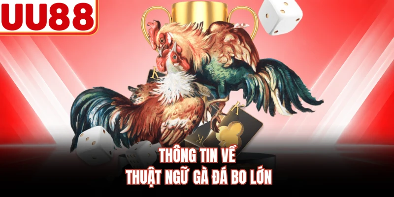 Thông tin về thuật ngữ gà đá bo lớn